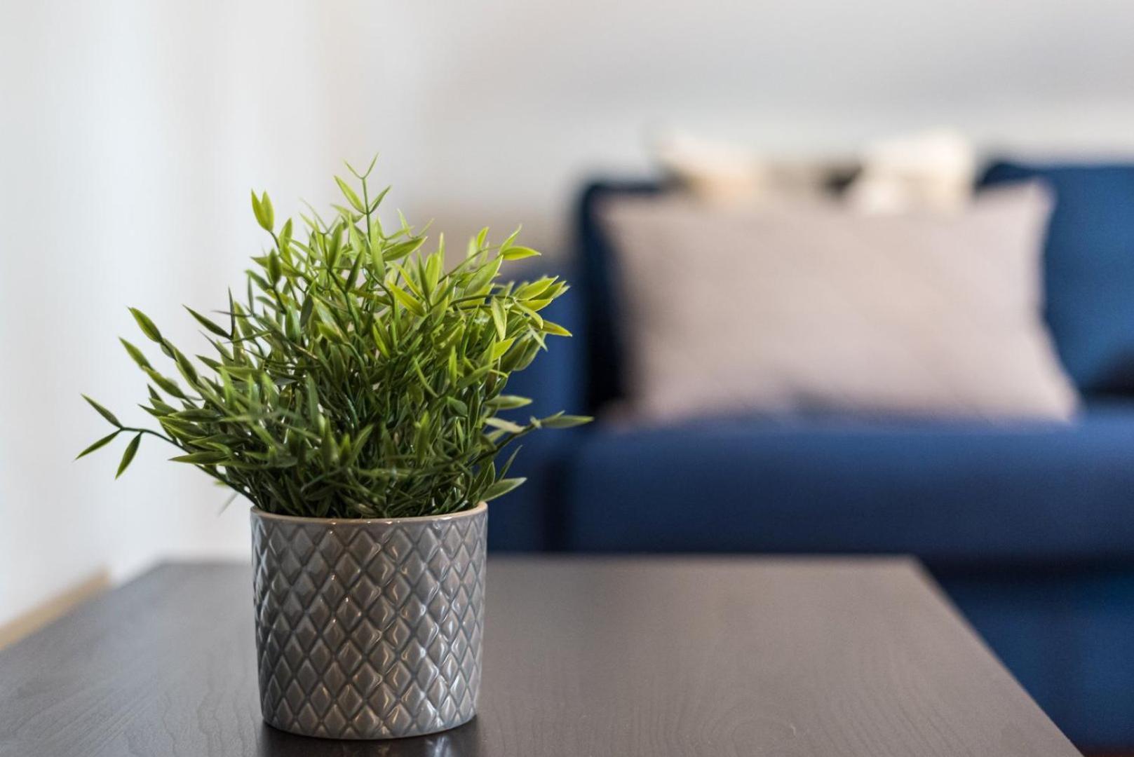 Guestready - Miragaia Rooftop ปอร์โต ภายนอก รูปภาพ